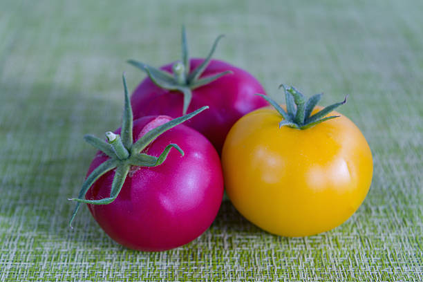 Vine tomatoes in a bowl sat on a wooden block with a white background