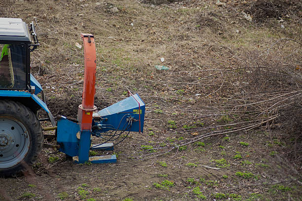 istock Cleaning the urban park using a tractor with a wood chipper. An eco-friendly solution for wood disposal and creating mulch. 2234475443