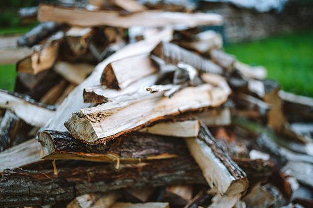 istock Close-up of stacked firewood logs 2234475842