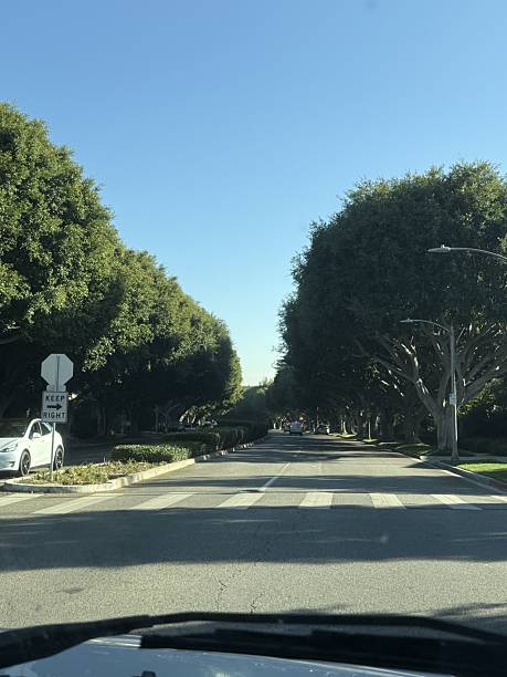 USA cities and photos