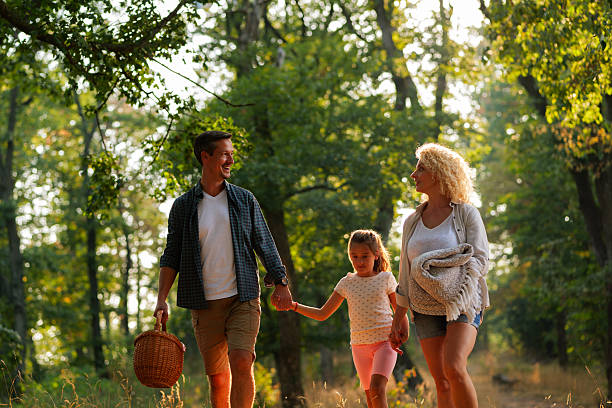 istock Happy family walking through forest holding hands going on a picnic 2234480007