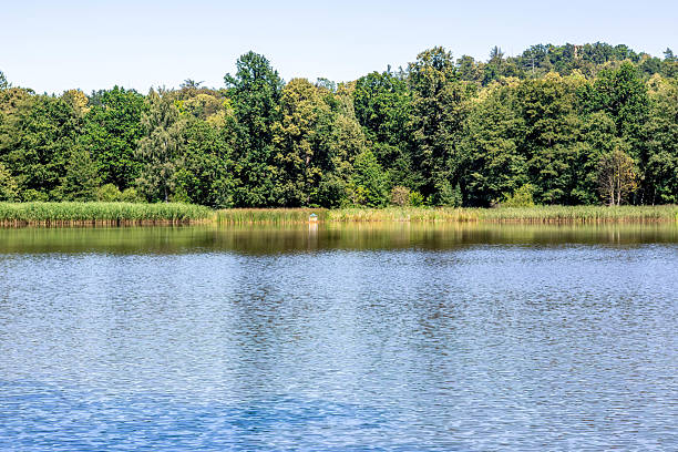 istock Calm lake with lush greenery reflecting on the surface during daytime 2234480025