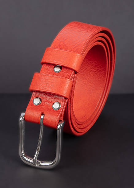 istock Red leather belt with metal buckles on a gray background. 2234481190