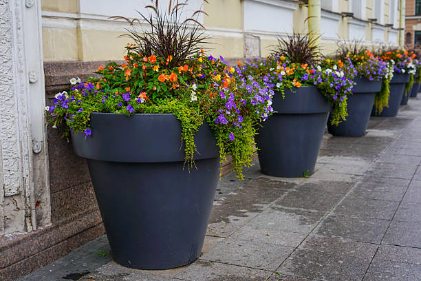 istock Flower pots in a row along a building facade 2234484785
