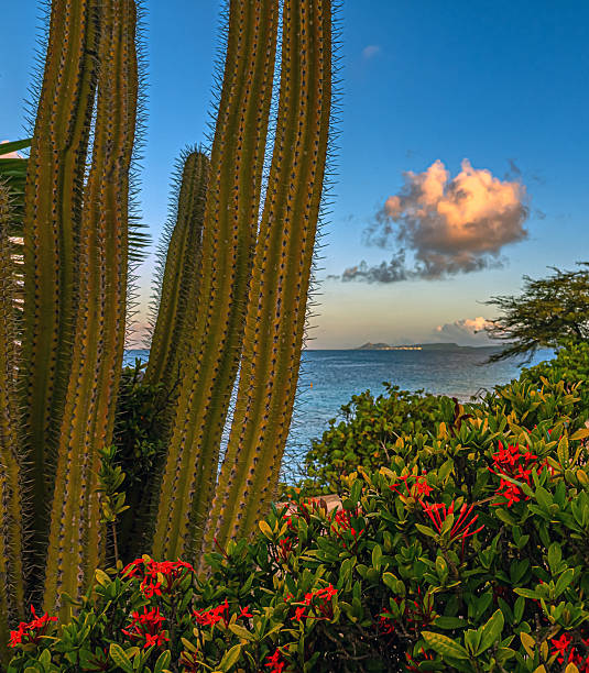 Caribbean sunset and sunrise off the coast of the island of Bonaire