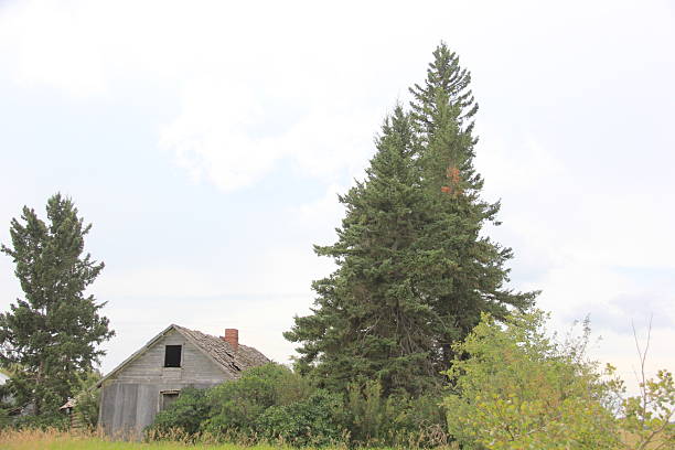 istock Alida Saskatchewan Tour and Scenery 2234489639