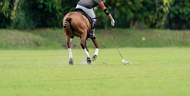 istock Polo Player Leaning to Strike Ball on Galloping Bay Horse 2234490467