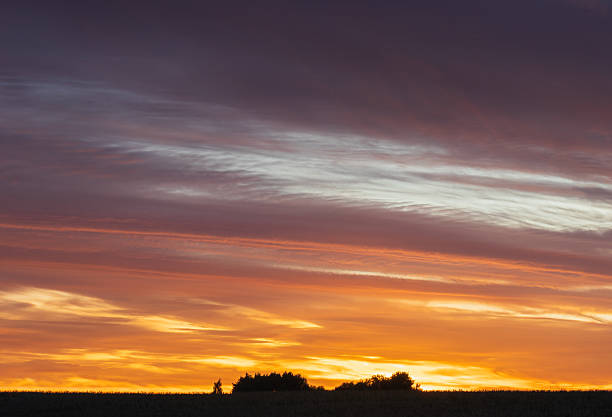 Trees silhouette under sunset sky. Czech rural landscape background