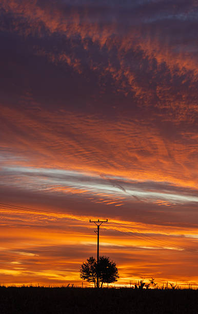 istock High voltage power line with tree on agriculture field during sunset. Transmission of electrical energy, industry background 2234490777