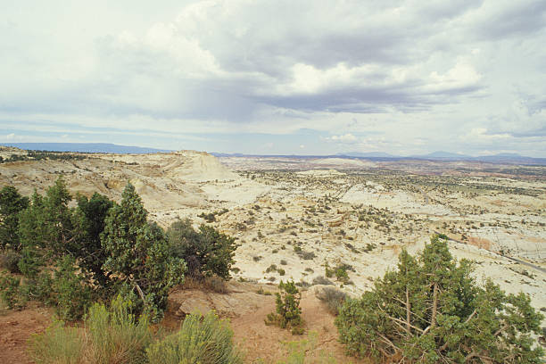 istock Desert with yellow/green rocks 2234491044