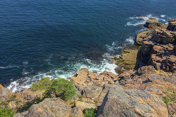 Green oldest granite (Ellsworth Schist) rocky coastline viewed from above cliff on summer day.