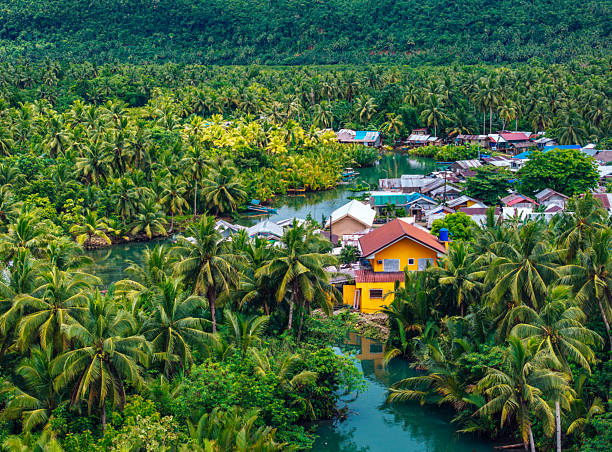 Vibrant tropical village nestled amidst lush green palms and a tranquil river setting, creating a scenic and serene environment ideal for relaxation and enjoying nature's beauty on Siargao Island, Philippines