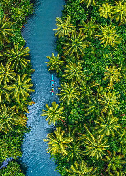 istock A Serene Drone View of a River Amid Lush Tropical Vegetation 2234492269