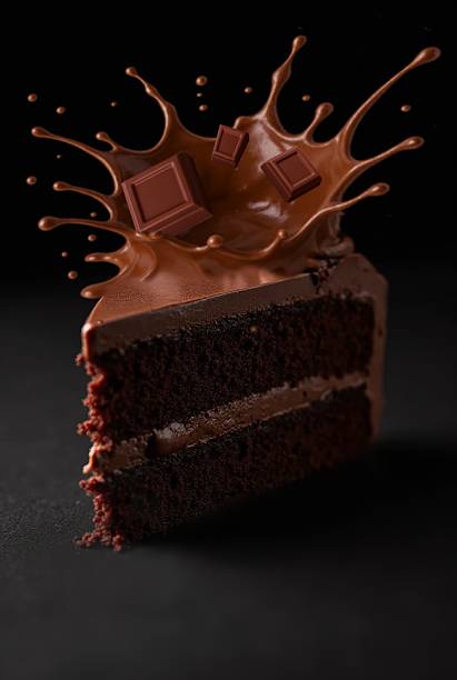 piece of chocolate cake with chocolate