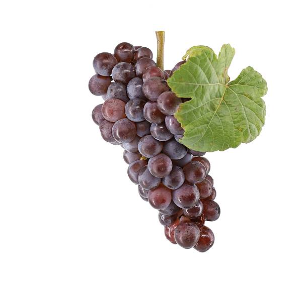 istock Ripe bunch of Pinot Gris grape on white background. 2234498688