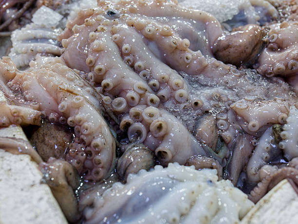 istock Fresh octopus in the fish market 2234501913