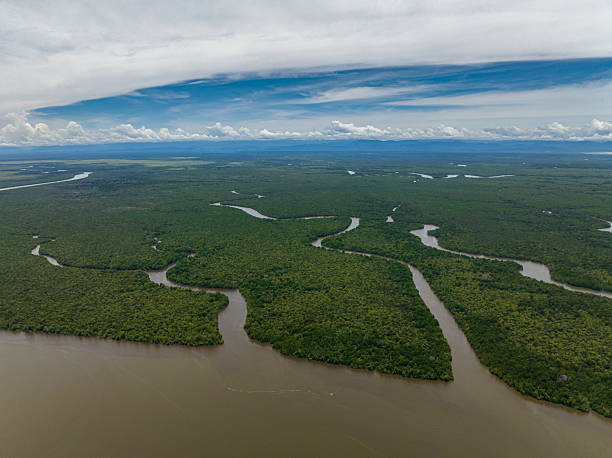 istock Mangroves in Borneo, Malaysia. 2234504247