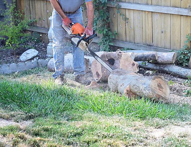istock Elderly people with gloves is hardworking. 2234504504