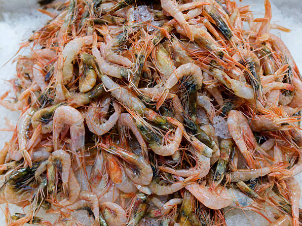 Seafood shrimps displayed in local market