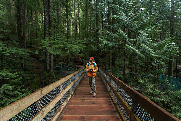 istock Man with camera  hiking in dense forest in British Columbia, Canada 2234506832