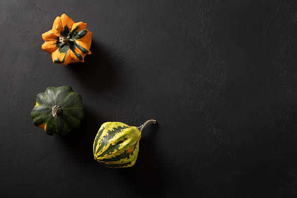 Autumn colorful pumpkins for Thanksgiving day or Halloween.