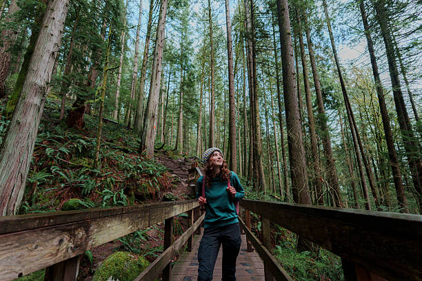 istock Woman exploring serene forest in Vancouver, Canada in summer 2234508766