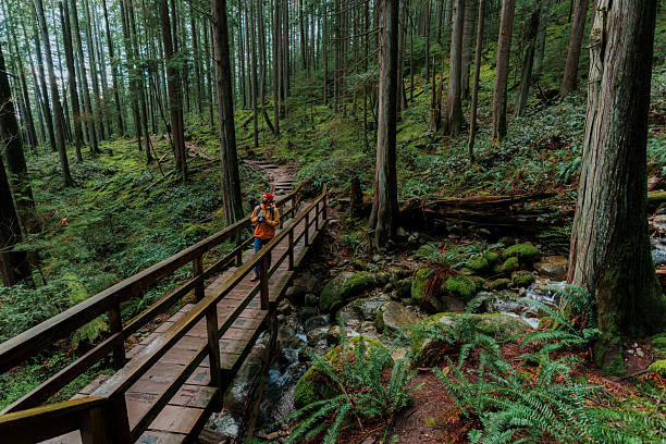 istock Man hiking through the forest in Vancouver, Canada 2234509841