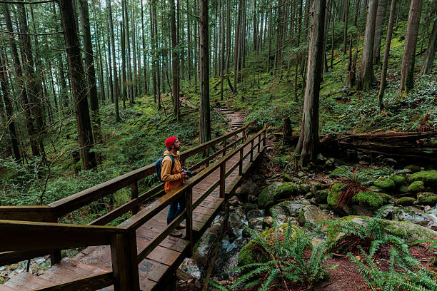 istock Man hiking through the forest in Vancouver, Canada 2234510035