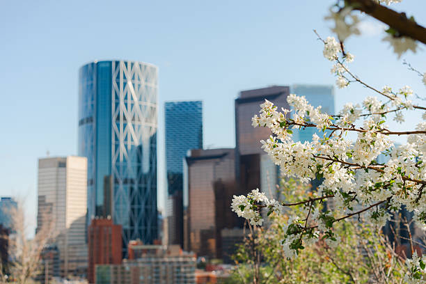 Calgary downtown cityscape skyline in springtime at sunset.