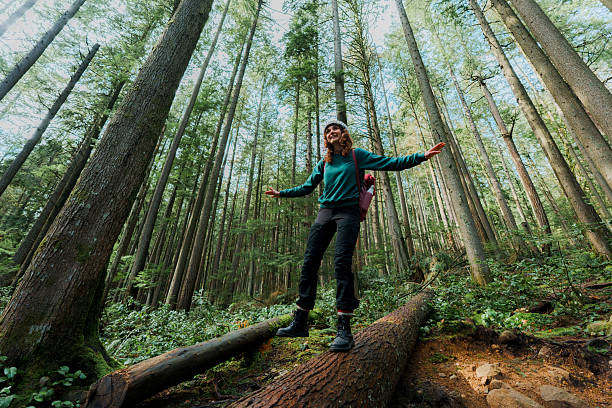 istock Woman exploring serene forest in Vancouver, Canada in summer 2234510780