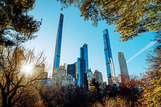 Defocused background of Central Park, New York City, USA. Intentionally blurred post production for bokeh effect