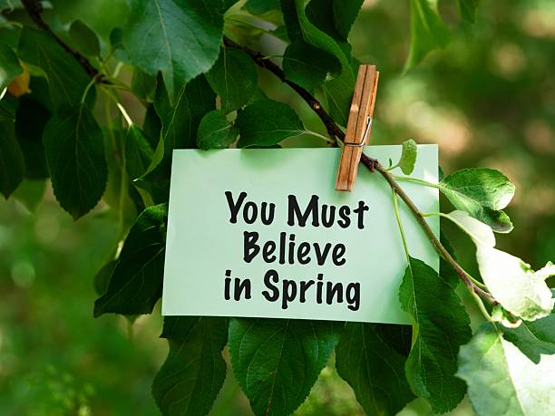 istock Green paper note with words You Must Believe in Spring hanging on a tree branch 2234510969