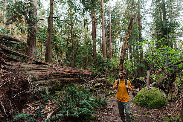istock Man hiking through the forest in Vancouver, Canada 2234511292