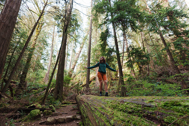 istock Woman exploring serene forest in Vancouver, Canada in summer 2234511484