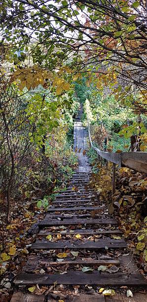 istock An old plank bridge over a grassy ravine 2234513745