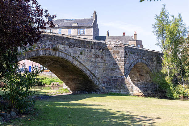 istock Goose and Swan @ Musselburgh, Scotland 2234513847