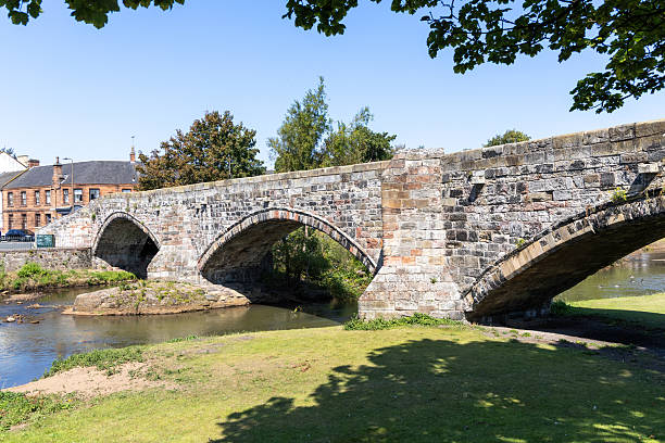 istock Goose and Swan @ Musselburgh, Scotland 2234513854