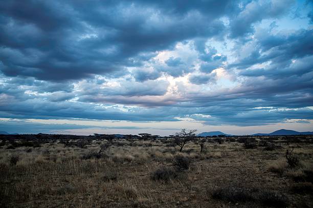 istock sunrise and clouds at the Africa savannah 2234524608