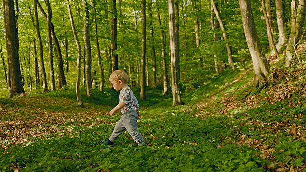 A Caucasian toddler in casual clothing walking through a green forest surrounded by tall trees. The child is exploring the natural environment, enjoying the tranquility and lush greenery.
