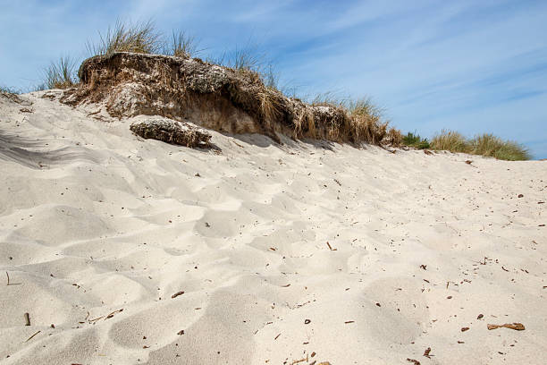 istock on top of a dune near 
