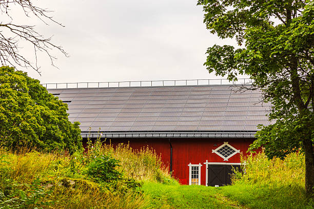 Traditional red barn with large solar panel roof framed by trees and wild summer vegetation in countryside. Sweden.