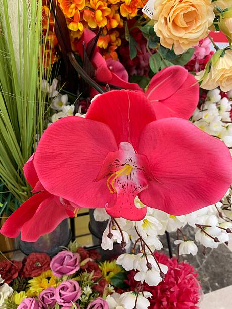 istock Vibrant Pink Orchid Surrounded by Colorful Artificial Flowers 2234528773