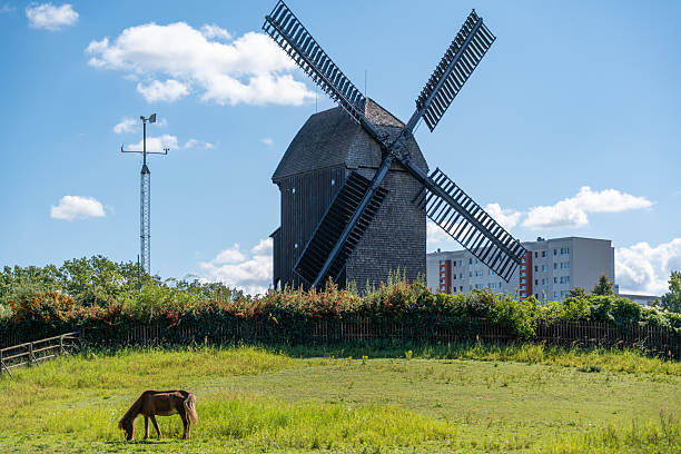 Windmill with large blades against a blue sky. A pony grazes in the meadow in the foreground.