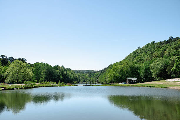 istock Serene Lake with Green Trees 2234533016