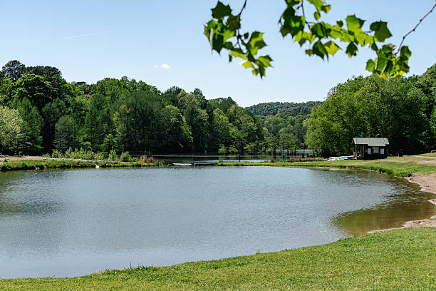 istock Serene Lake with Green Trees 2234533019