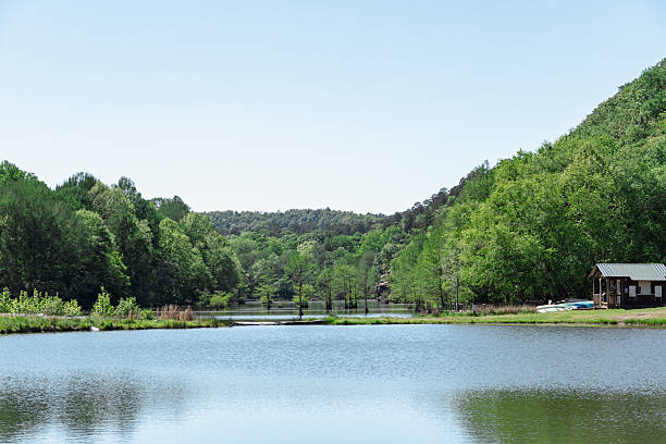 istock Serene Lake with Green Trees 2234533143