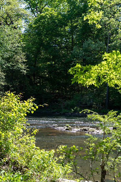 istock Rocky river in the woods 2234534651
