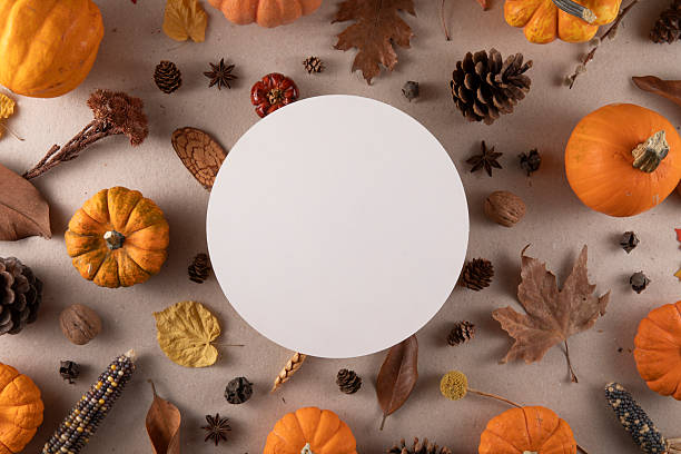 Autumn Thanksgiving holiday background with pumpkins and autumn leaves