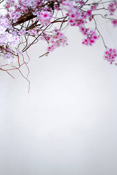 Pink flowers and branches as decorative wedding backdrop creating romantic atmosphere for ceremony.
