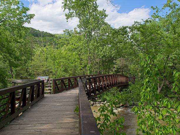 Pedestrian bridge over New River tributary near Sandstone Falls.
